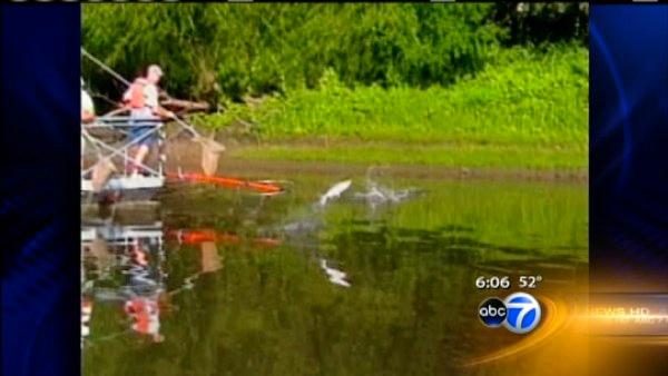 A $10 million electronic barrier meant to keep Asian carp out Lake Michigan was turned on for the first time on Wednesday.