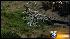 Sheriff: Graves dug up to resell plots ::