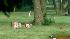 Sheriff: Till casket found rotting ::
