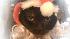 Bre from Wheaton sent in this photo. This is a...