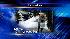Icy roads hamper Christmas travel rush ::