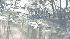 Chopper 7 HD: Raw video of plane crash site ::