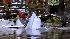 Two dead in small plane crash ::