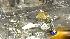 Crews work to remove bodies from plane wreckage ::