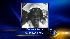 Dniesha Smith, 15, was reported missing from her...