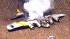 A WWII bomber plane crashed and caught fire in...