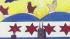 Teen defends city sticker design ::