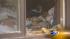 The body of a 72-year-old Margareta Scheibe was...
