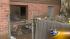 Possums, cats, bees -- it was a bad situation,...