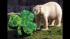 Hudson, a 5-year-old polar bear at Brookfield Zoo, investigates a super-sized shamrock he received today in celebration of St. Patricks Day.