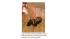 New products from For Dogs Sake, located at 1757...