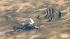 A small plane crashed near Crystal Lake on...