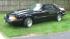 Ray Swanners 1989 Mustang LX 50