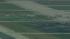 American Eagle jet makes emergency landing at... ::