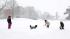 Snow day