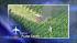Pilot dead in plane crash near Rockford ::