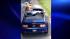 Abby Coxs Blue Mustang