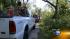 Homeowners, ComEd assess storm damage; 86,000... ::