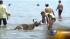 Excessive heat warning in effect through... ::