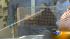 Dozens of animals removed from Berwyn home ::