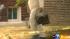 Heat led to removal of 36 animals from Berwyn... ::