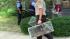 Heat led to removal of 41 animals from Berwyn... ::