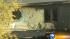 Woman, 24, ID'd after fatal Lombard fire ::