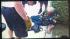 Cell phone video shows attack victim Porter... ::