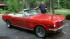 Ray Warchols 64 1/2 Mustang