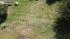 Chalk outline of Tiny the Spider.