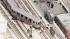 CTA Red Line trains were stopped in both...