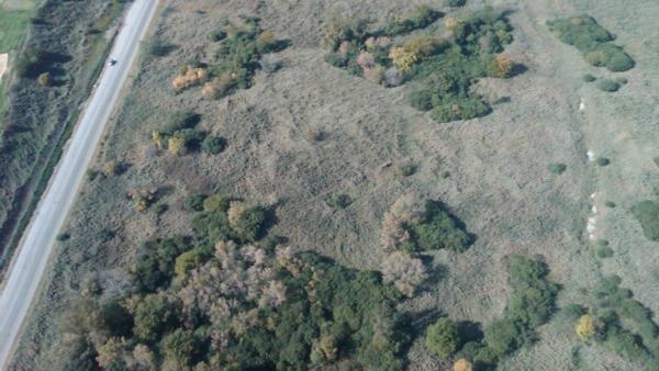 From above (Chicago Police photo)