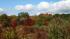 Moraine Hills, McHenry, Ill. ABC7 Chicago...