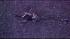 A pilot and two nurses were killed after a...