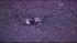 A pilot and two nurses were killed after a...