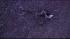 A pilot and two nurses were killed after a...