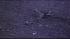 A pilot and two nurses were killed after a...