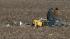 A pilot and two nurses were killed after a...