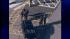 Images show the scene of a shooting at Sandy...