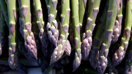 File photo: Fresh picked asparagus at SKD Farms Inc. in Toppenish, Wash. (AP Photo/E.B. McGovern)