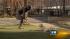 Chicagoans and their pets face coldest day in... ::