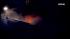 Fire crews battled a major blaze at a food plant...