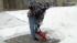 Winter storm interupts afternoon rush ::