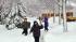 Chicago storm dumps heaviest snow this winter ::