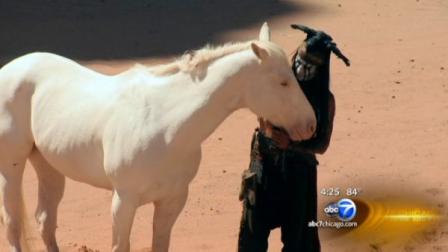  Phoebe is an all-white thoroughbred cast as Silver. She was discovered two years ago at the Valley View Acres horse farm in Woodstock as plans for the film got underway.