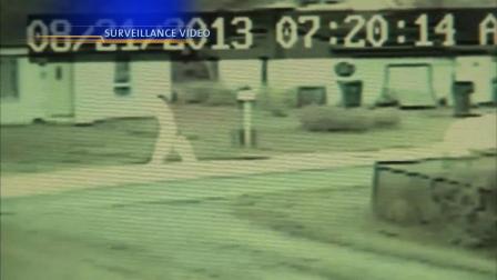 Police are looking the people who attacked a girl as she waited for a school bus in Gary Indiana.