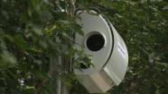 Chicagos first speed camera goes live Monday.