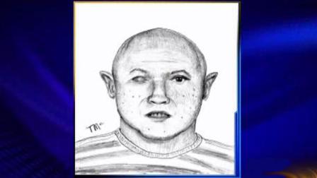 Sketch in child luring attempt from July 10, 2013 in the Lawndale neighborhood.