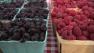 After months of waiting for the season to turn, red and black raspberries from Michigan are now firmly entrenched on local menus.