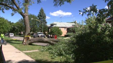 There were some scary moments for a woman on the South Side Saturday when part of a large tree fell on her in the 8900 block of South Wallace.